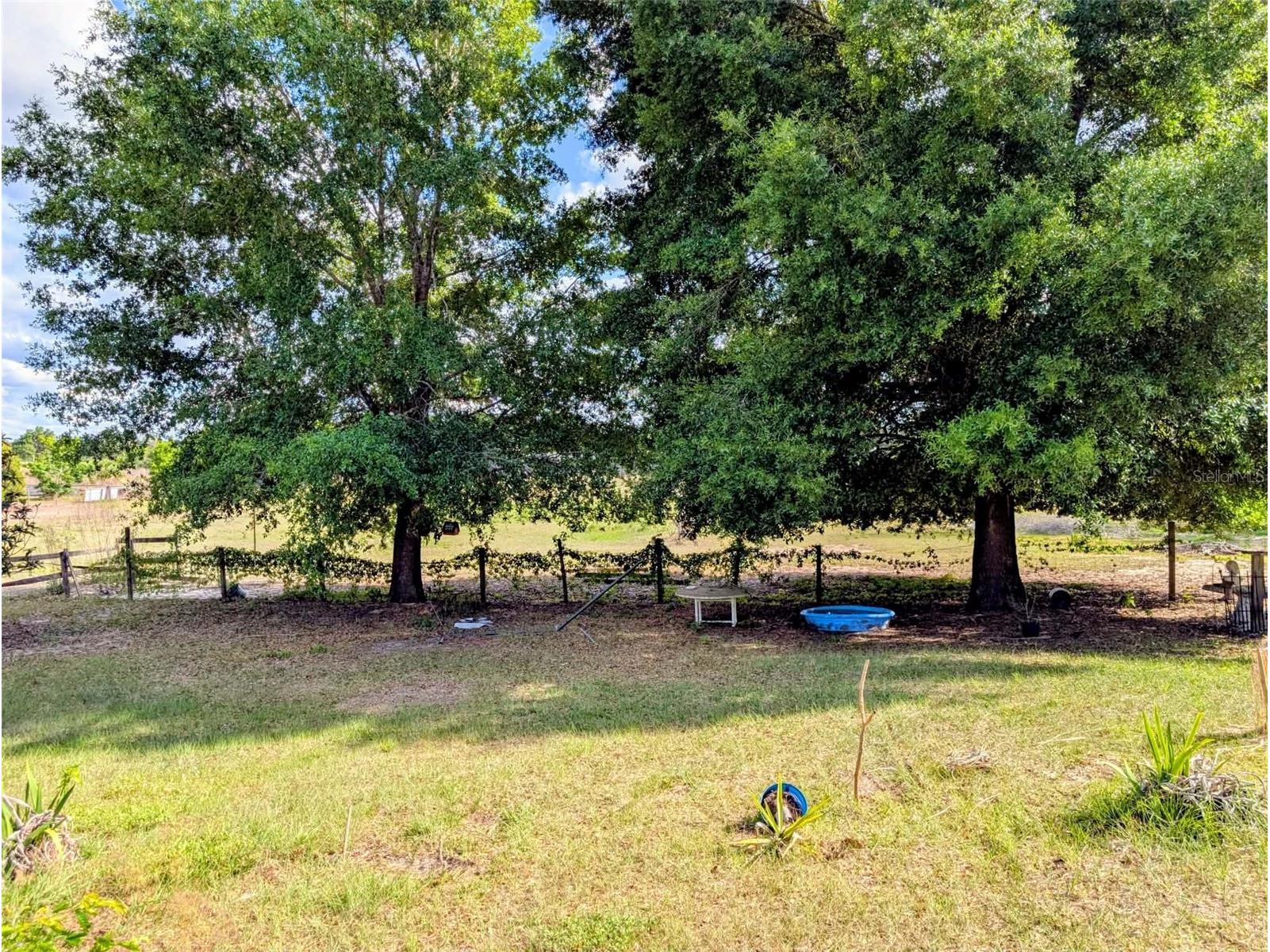 35819 Nova Lane Eustis FL 32736 R4911129 image18