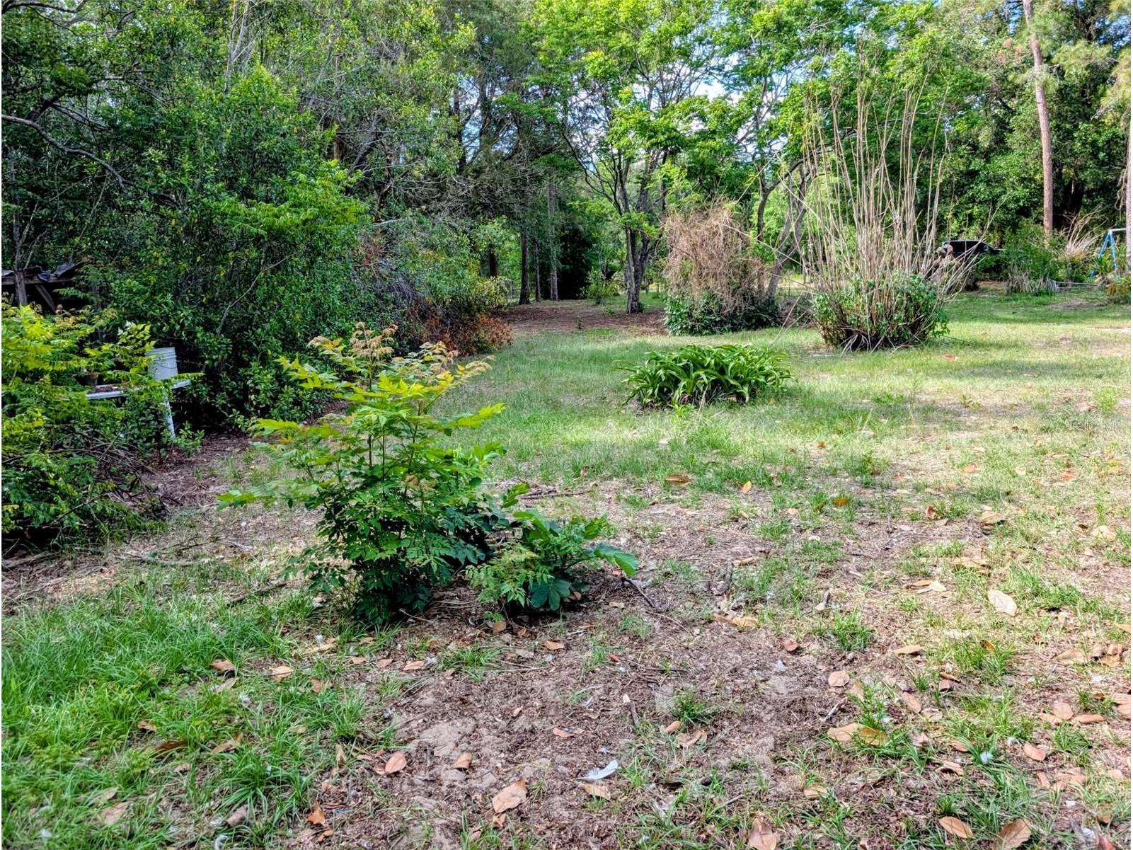 35819 Nova Lane Eustis FL 32736 R4911129 image19