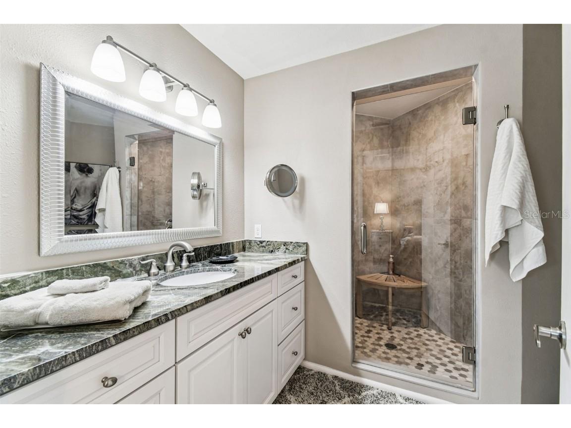 3582 Indigo Pond Drive #3582 Palm Harbor FL 34685 TB8435524 image17