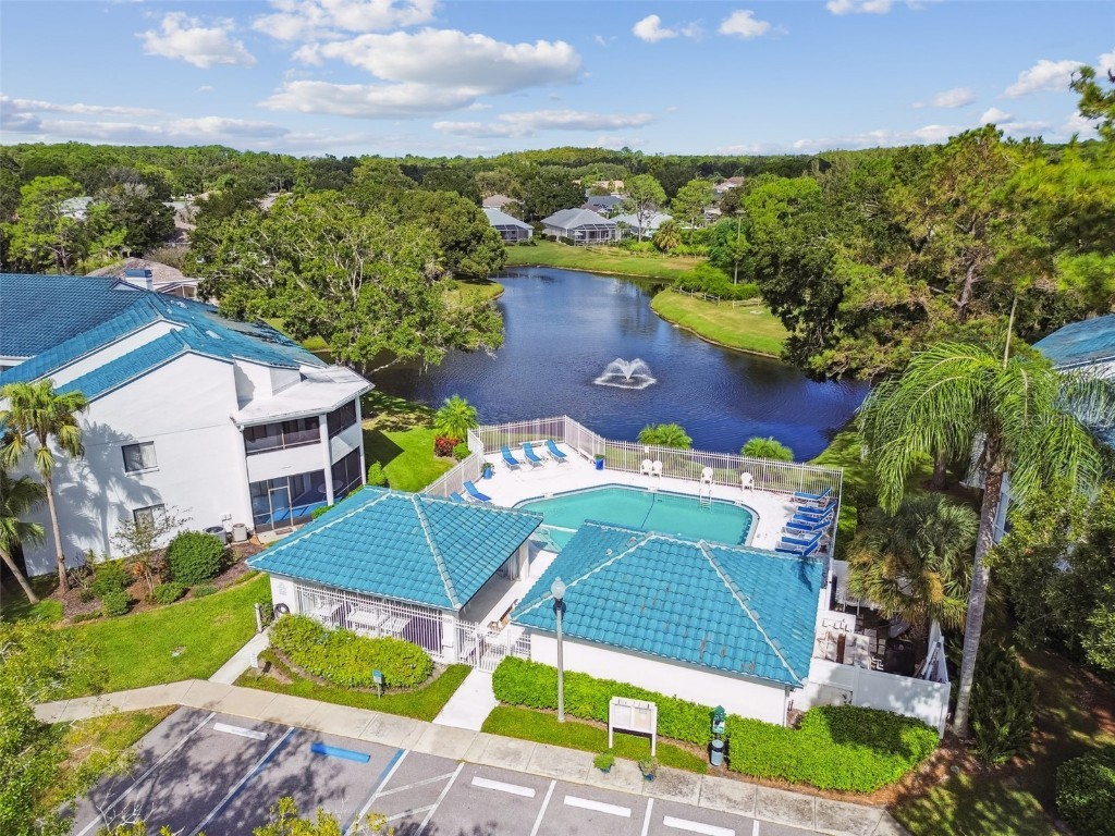 3582 Indigo Pond Drive #3582 Palm Harbor FL 34685 TB8435524 image27