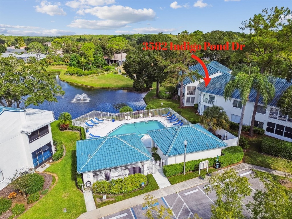 3582 Indigo Pond Drive #3582 Palm Harbor FL 34685 TB8435524 image32