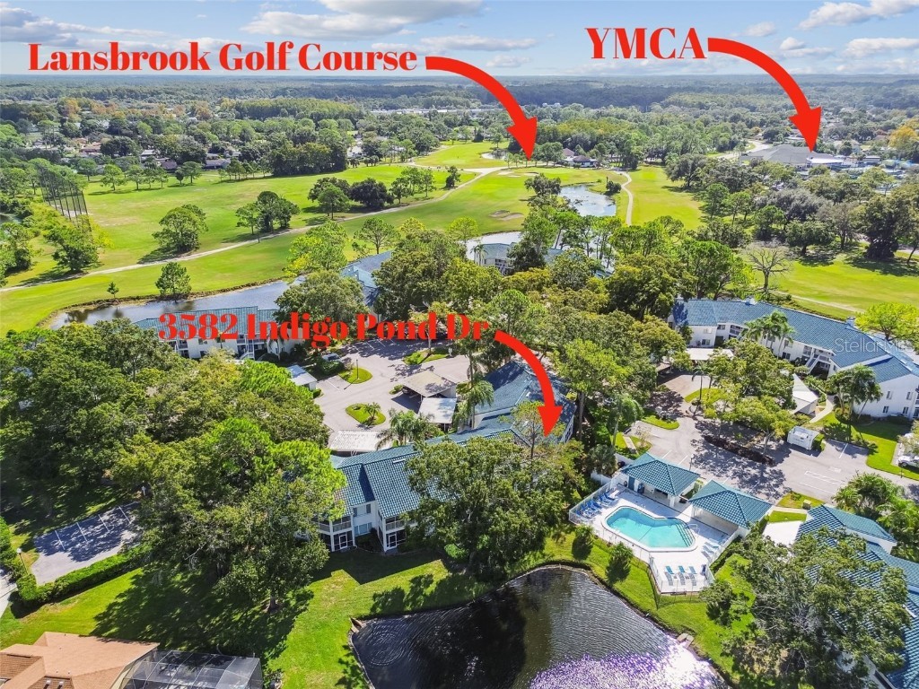 3582 Indigo Pond Drive #3582 Palm Harbor FL 34685 TB8435524 image33