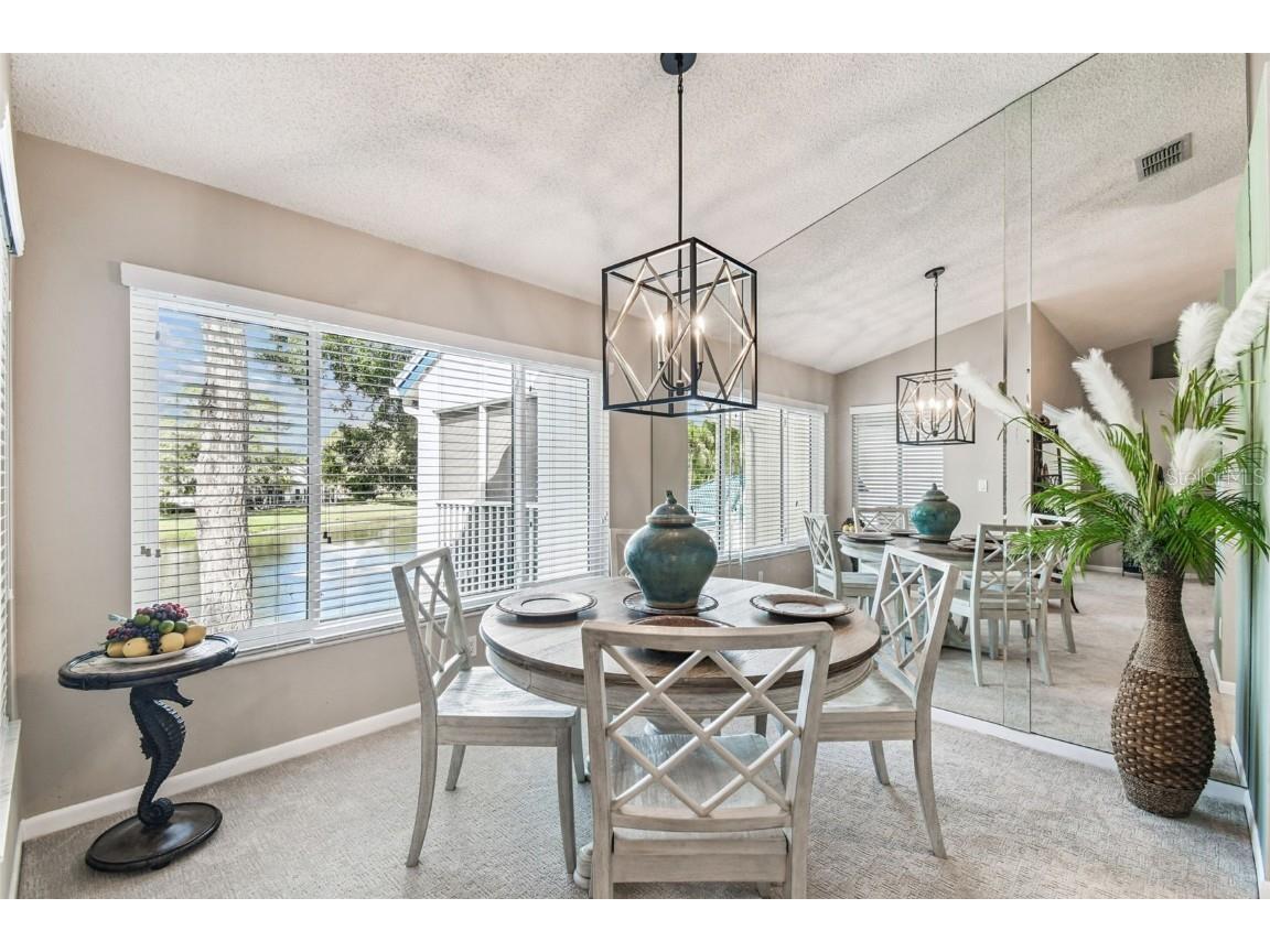 3582 Indigo Pond Drive #3582 Palm Harbor FL 34685 TB8435524 image4