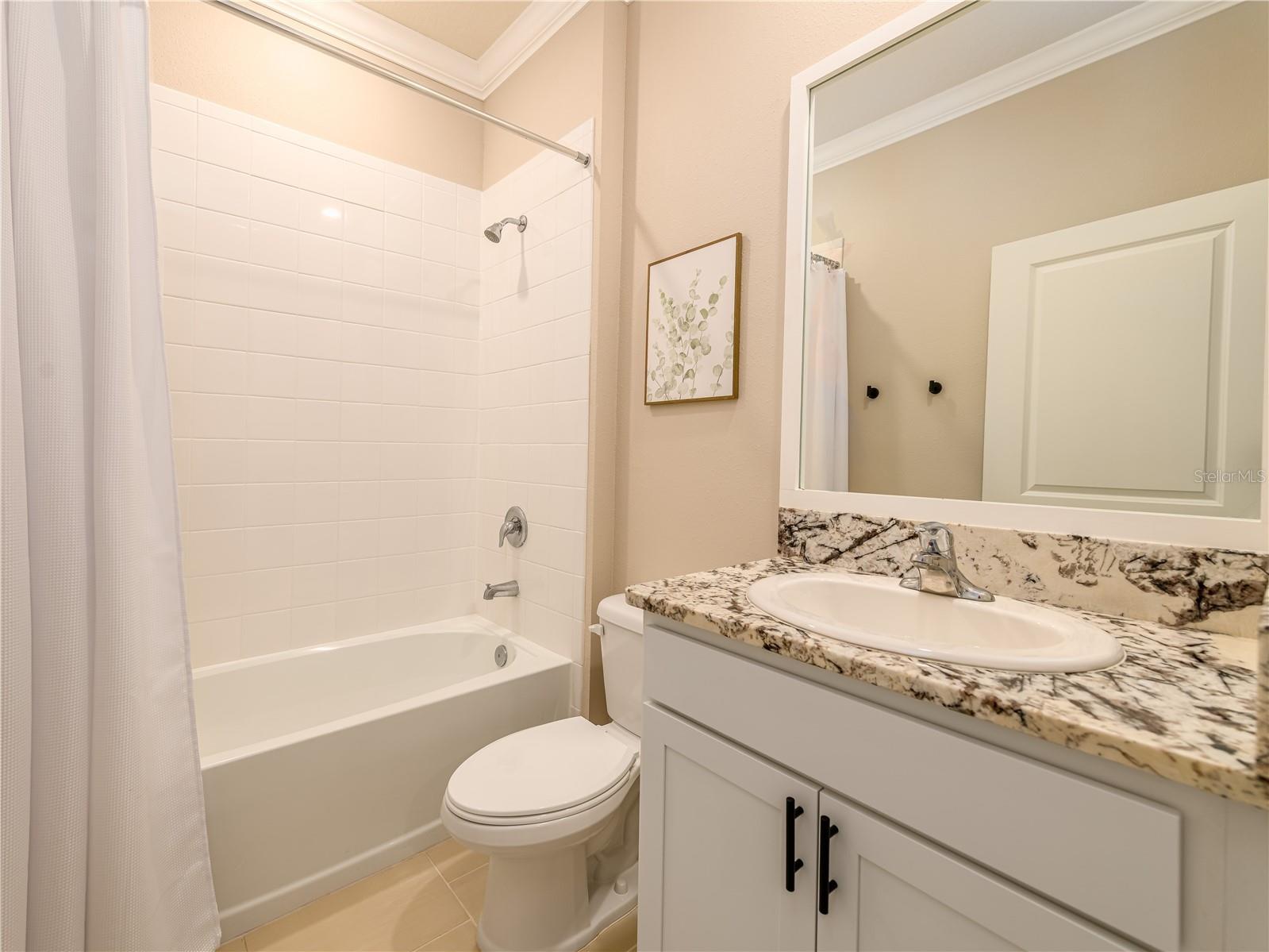 35820 Iron Redding Court Zephyrhills FL 33541 TB8515191 image20
