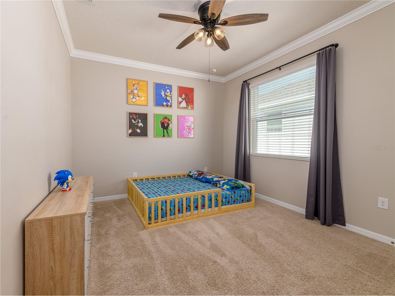 35820 Iron Redding Court Zephyrhills FL 33541 TB8515191 image21