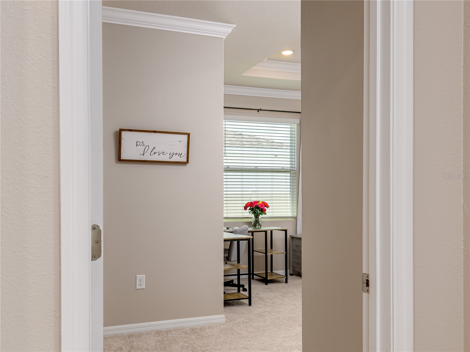 35820 Iron Redding Court Zephyrhills FL 33541 TB8515191 image35