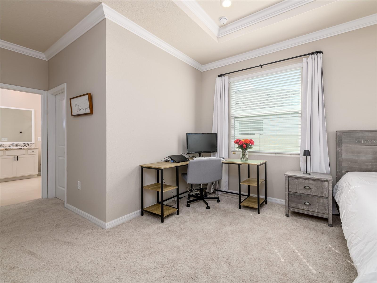 35820 Iron Redding Court Zephyrhills FL 33541 TB8515191 image38