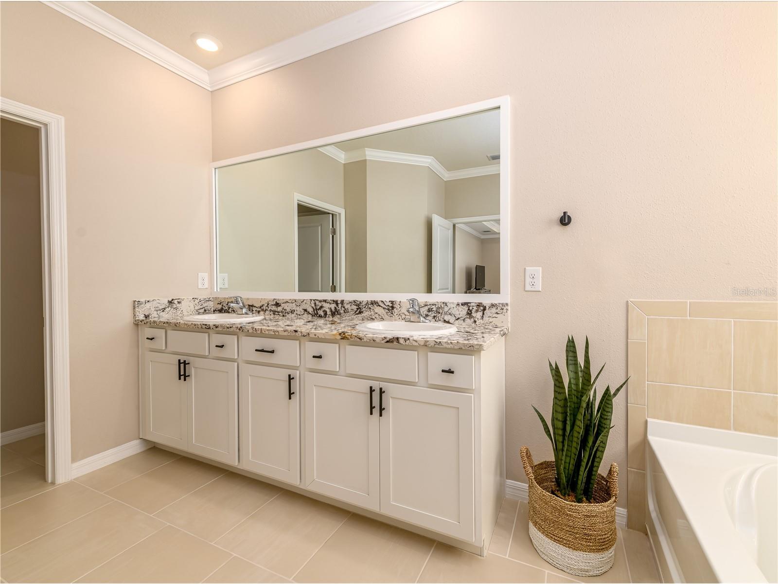 35820 Iron Redding Court Zephyrhills FL 33541 TB8515191 image39