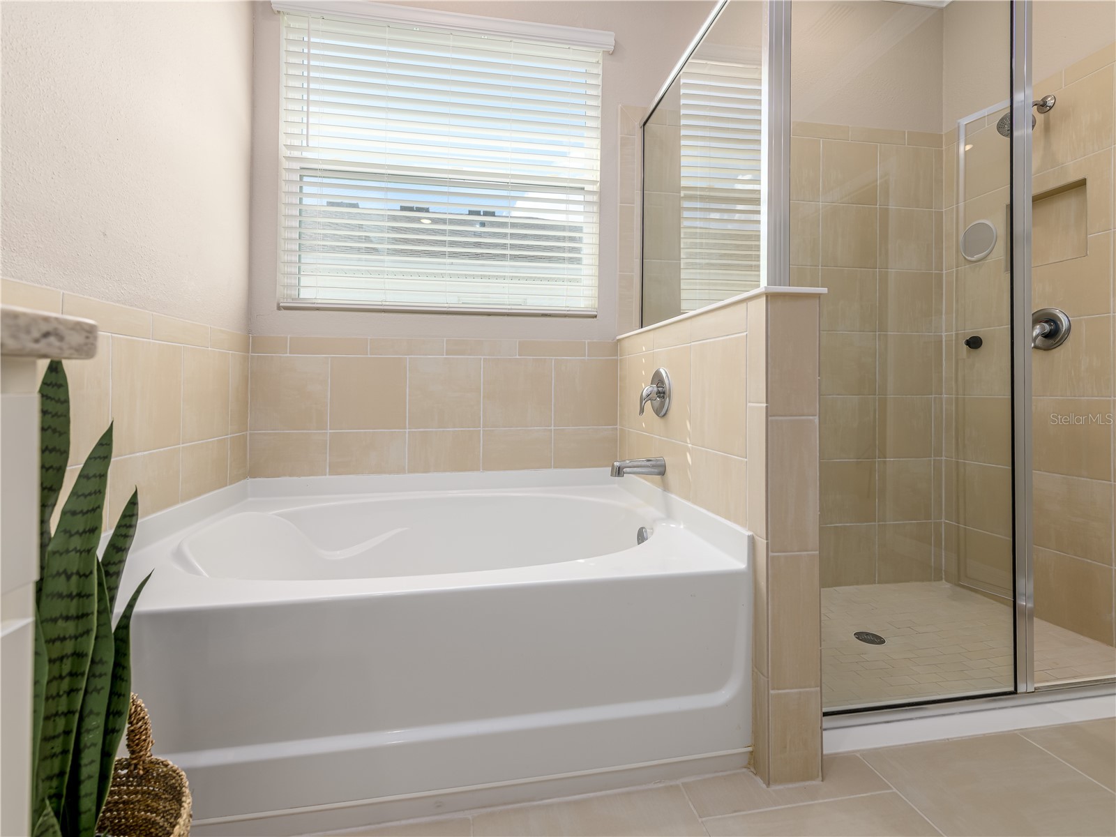 35820 Iron Redding Court Zephyrhills FL 33541 TB8515191 image40