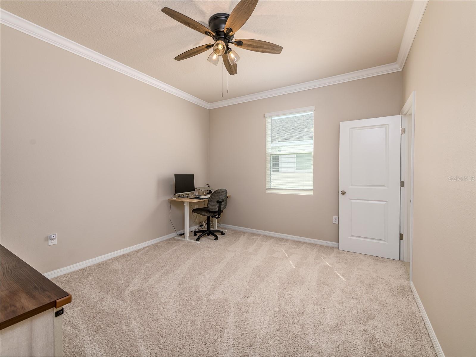 35820 Iron Redding Court Zephyrhills FL 33541 TB8515191 image41
