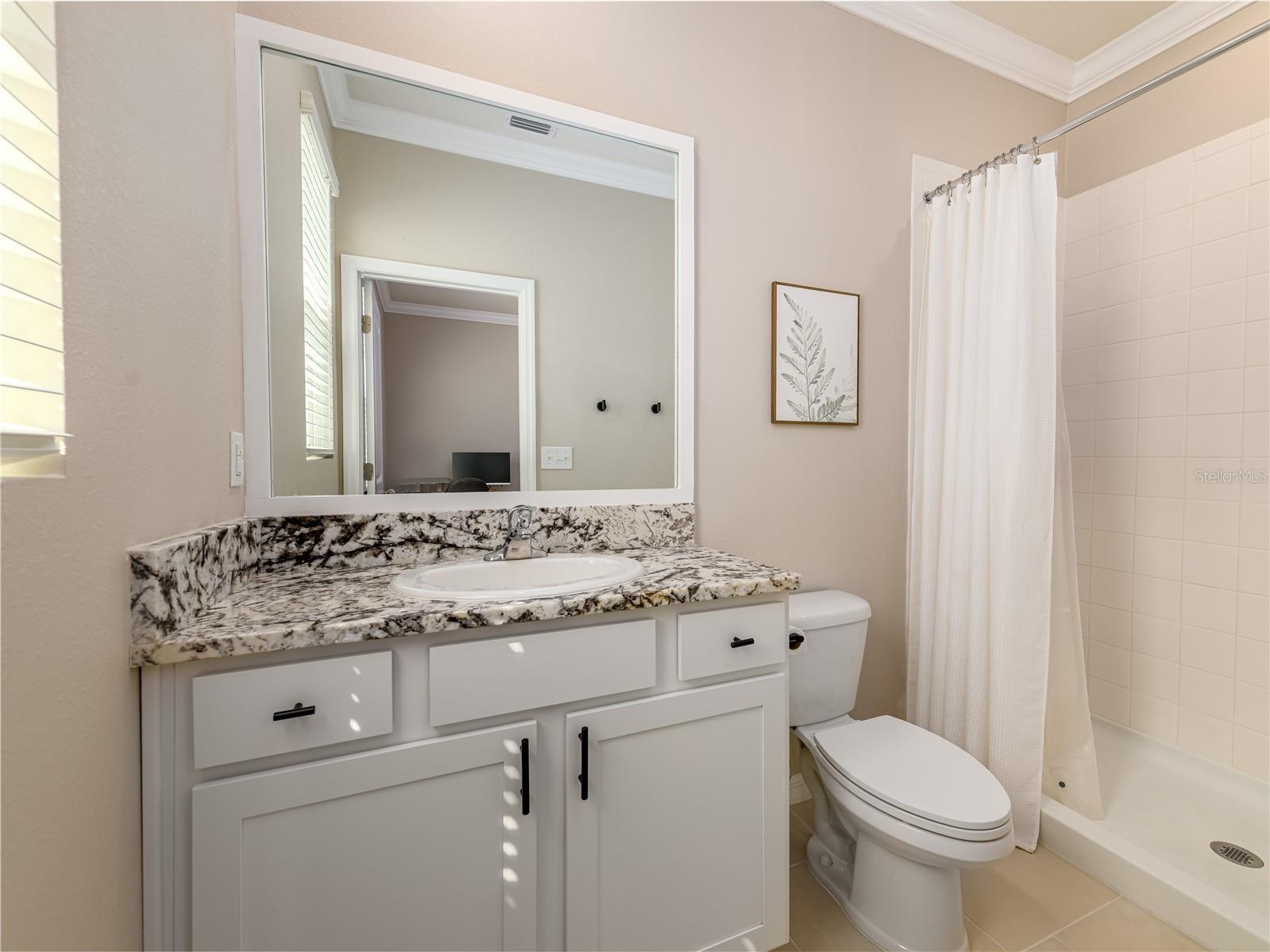 35820 Iron Redding Court Zephyrhills FL 33541 TB8515191 image43