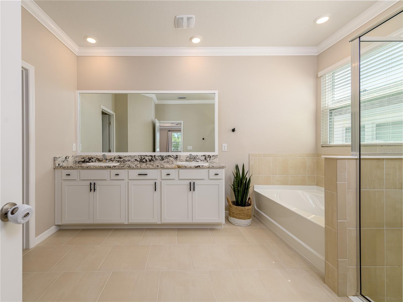 35820 Iron Redding Court Zephyrhills FL 33541 TB8515191 image5