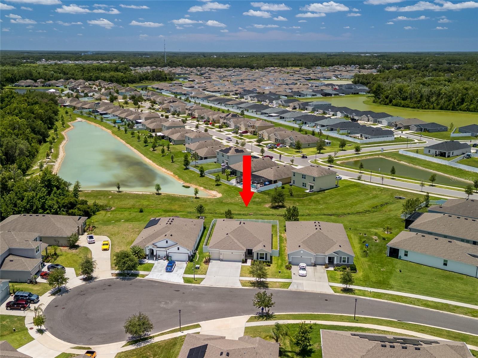 35820 Iron Redding Court Zephyrhills FL 33541 TB8515191 image8