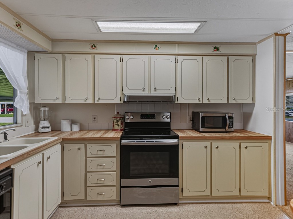 35826 Pradera Drive Zephyrhills FL 33541 TB8443953 image24