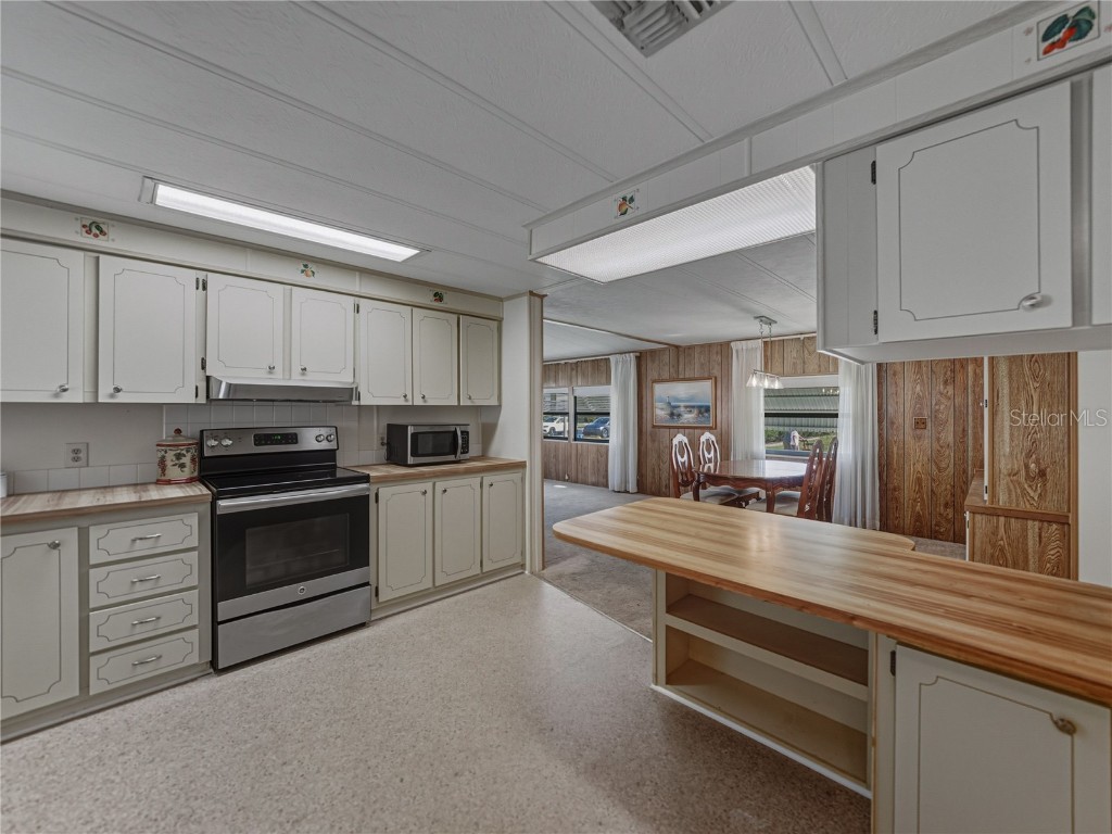 35826 Pradera Drive Zephyrhills FL 33541 TB8443953 image26