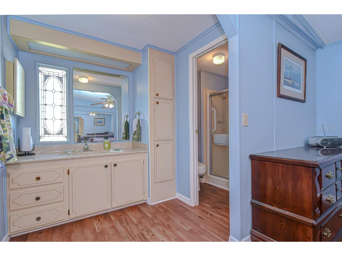 35827 Brisa Drive Zephyrhills FL 33541 TB8452392 image28