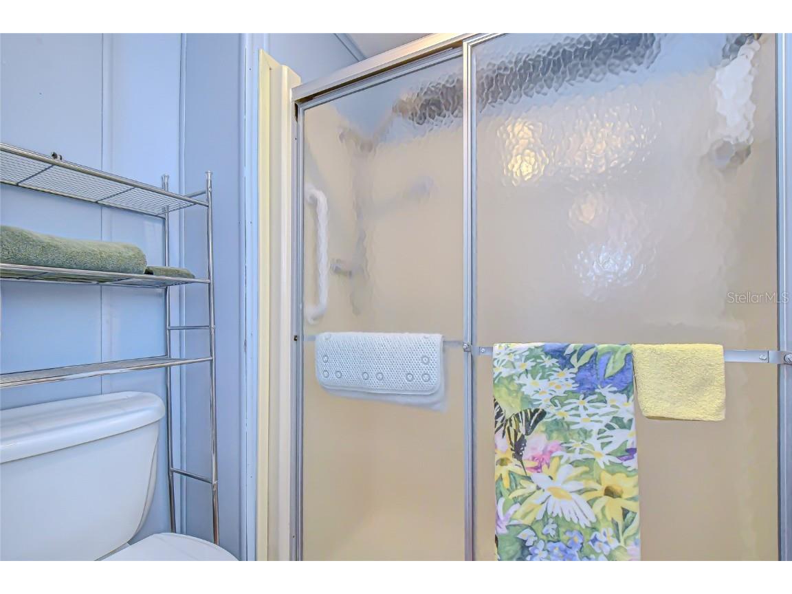 35827 Brisa Drive Zephyrhills FL 33541 TB8452392 image29