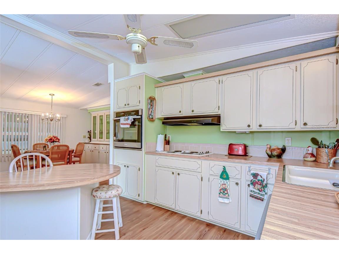 35827 Brisa Drive Zephyrhills FL 33541 TB8452392 image9