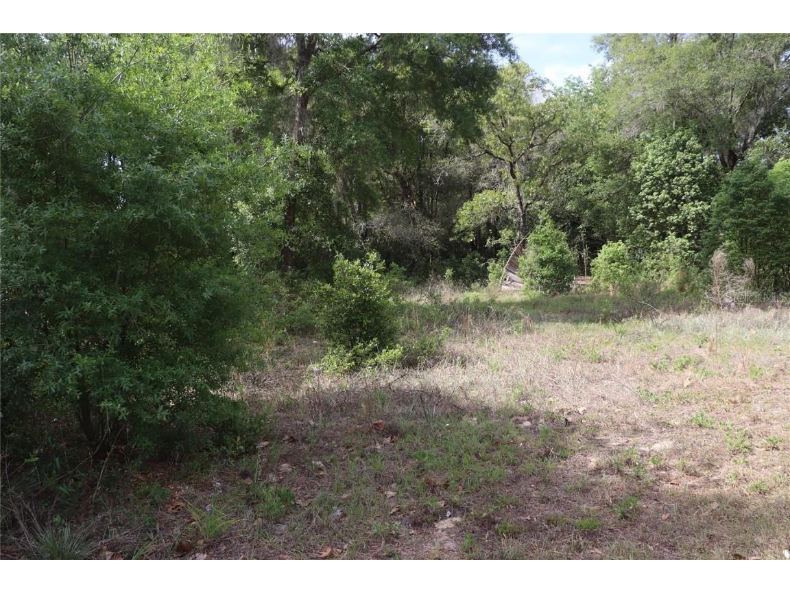 3584 & 3572 W Riverview Lane Dunnellon FL 34433 OM656234 image1