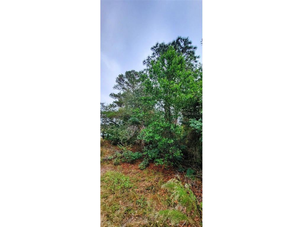 3584 Diagonal Lane Spring Hill FL 34606 T3486679 image1