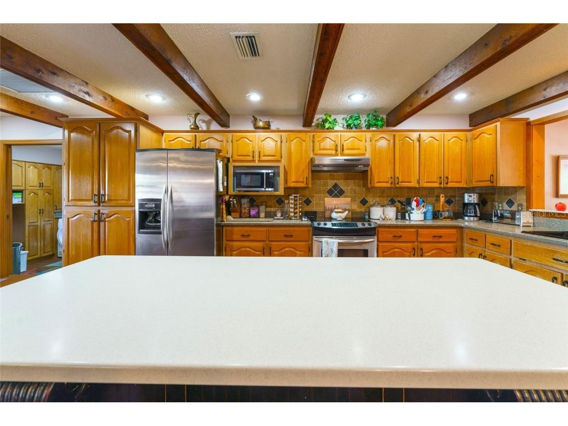 35841 Timbertop Lane Fruitland Park FL 34731 O6300778 image2