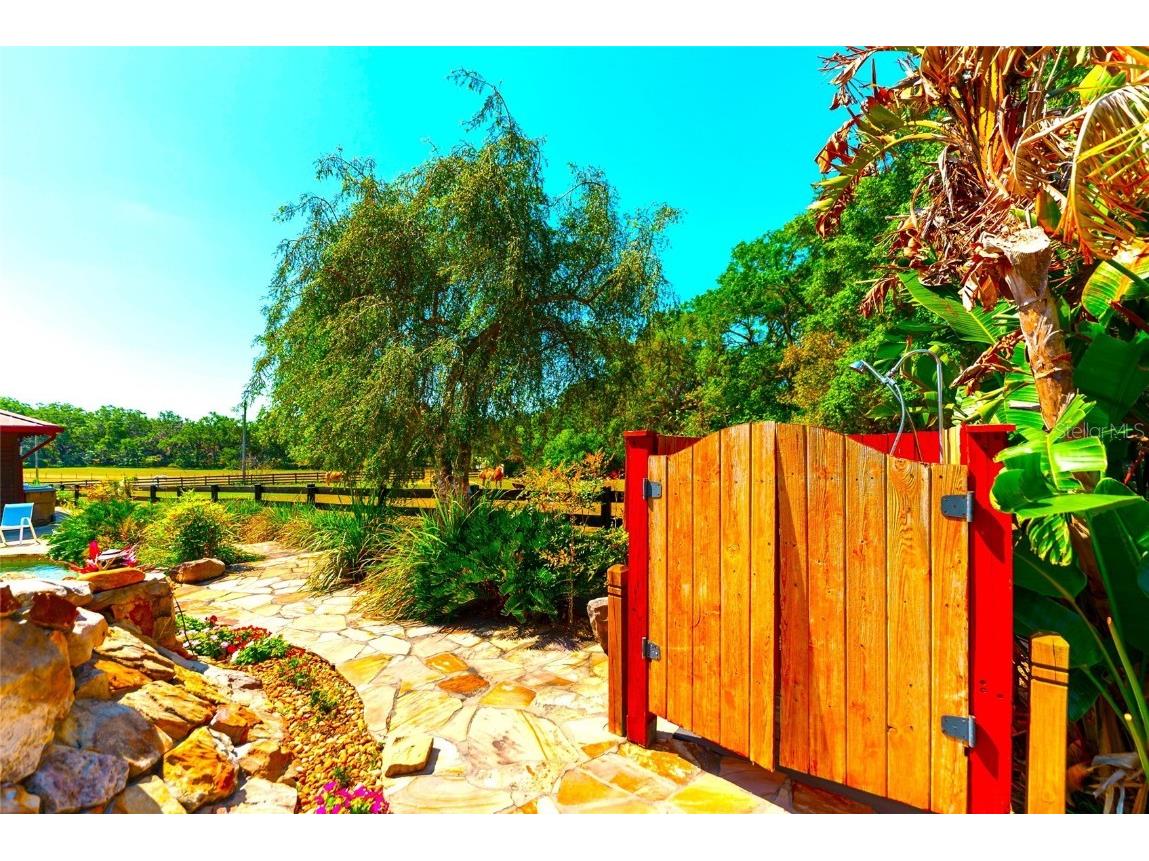 35841 Timbertop Lane Fruitland Park FL 34731 O6300778 image67