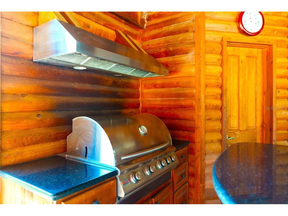 35841 Timbertop Lane Fruitland Park FL 34731 O6300778 image74