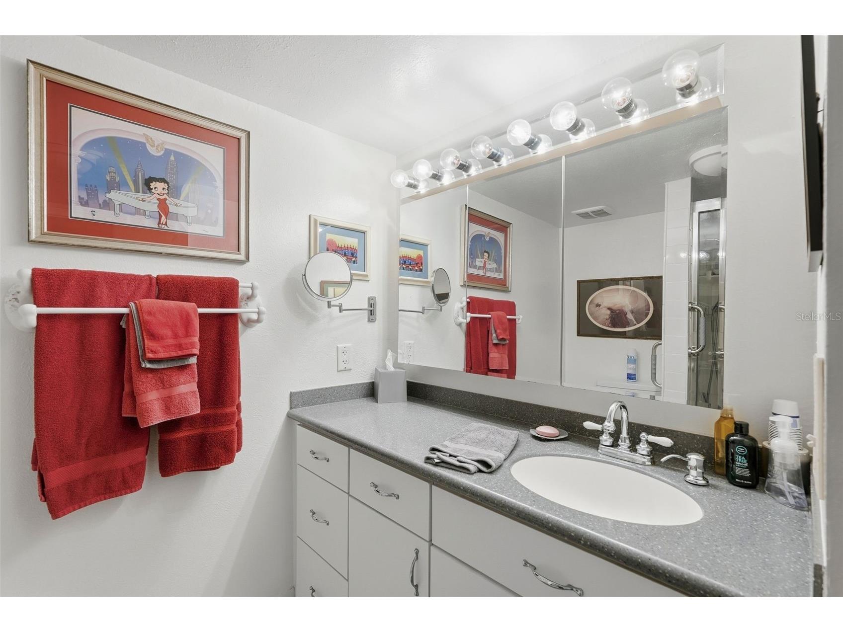 3585 41st Way S #B Saint Petersburg FL 33711 - BOCA CIEGA BAY TB8473756 image17