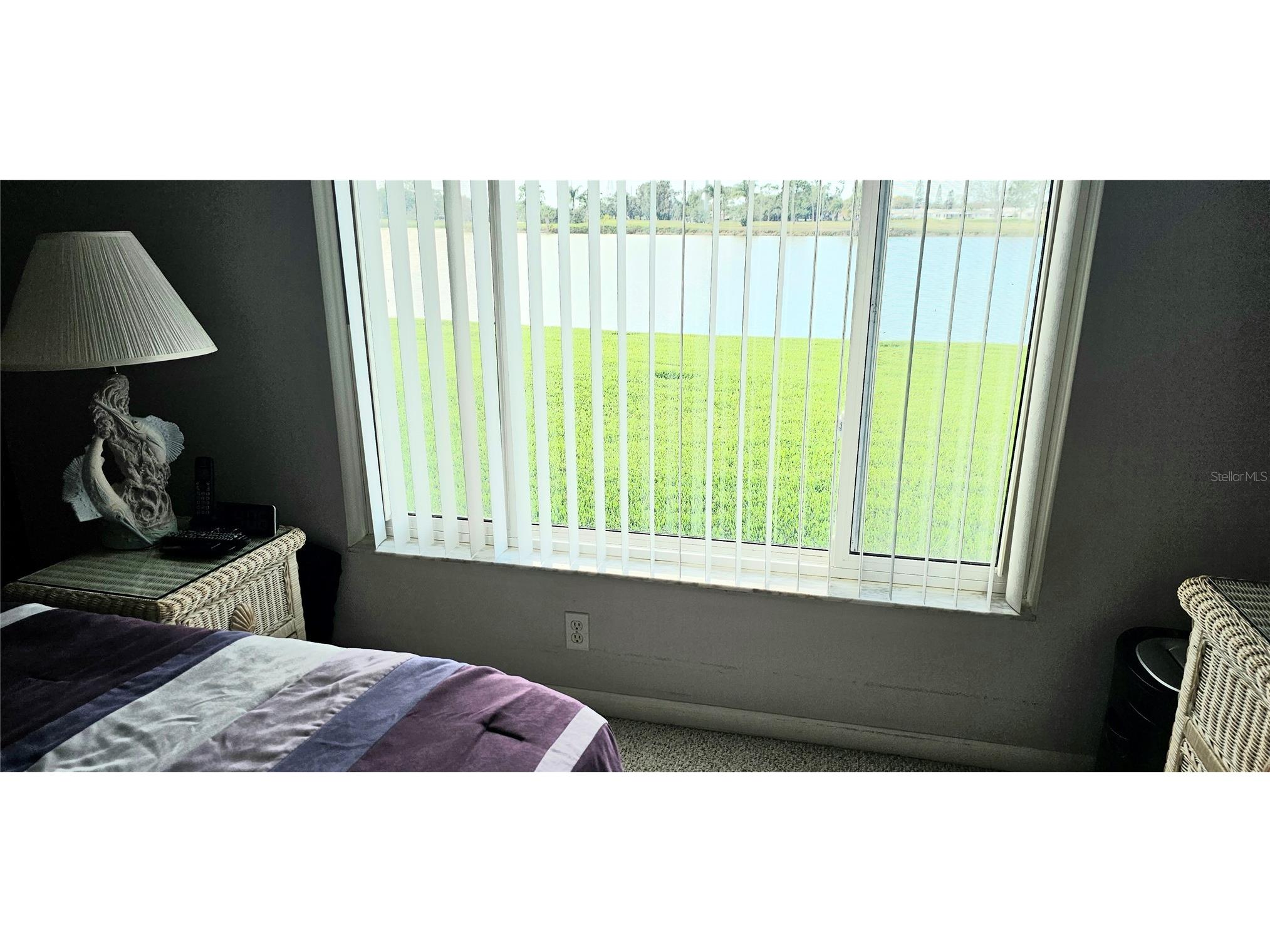 3585 93rd Avenue N Pinellas Park FL 33782 TB8486759 image33