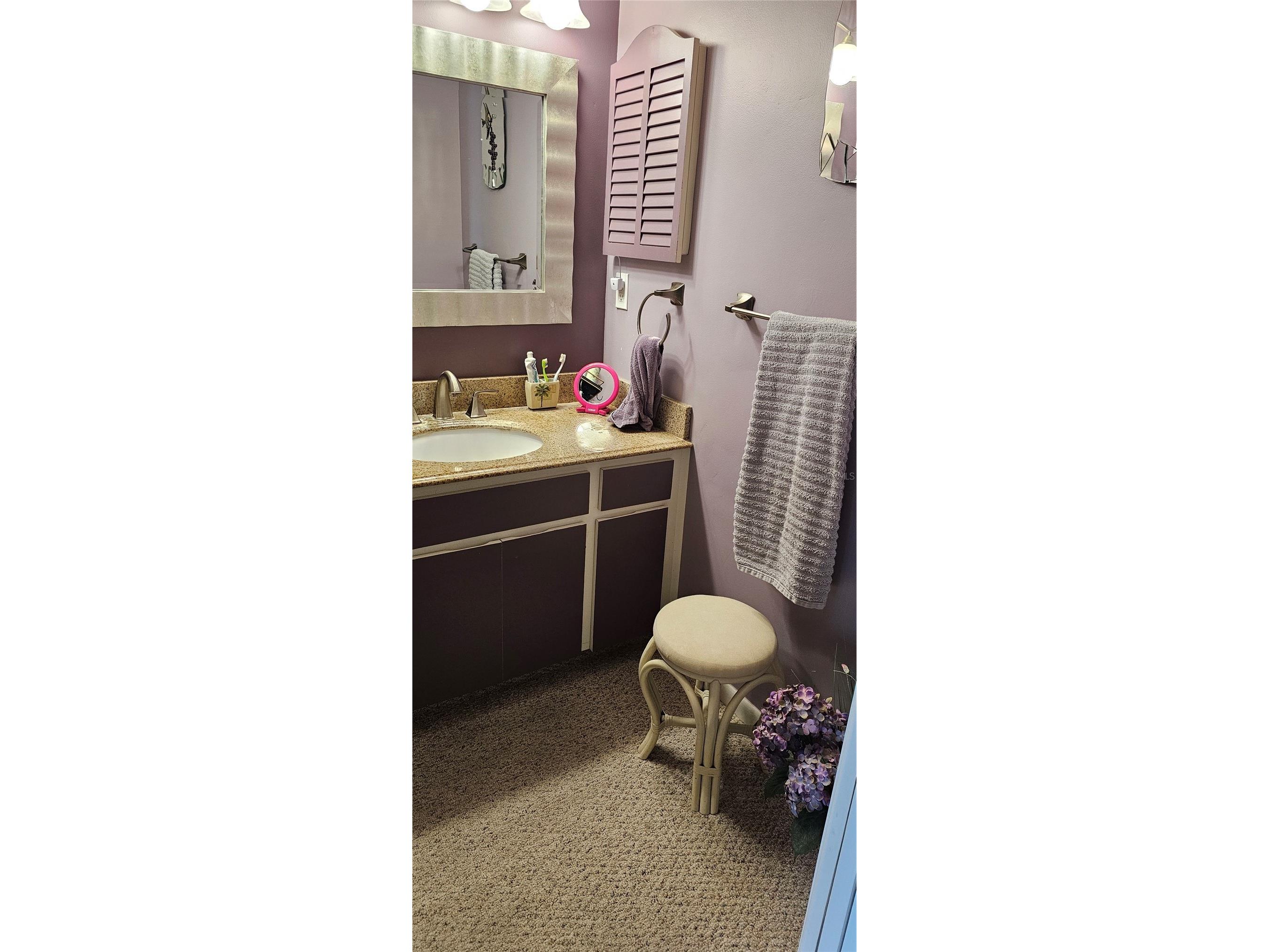 3585 93rd Avenue N Pinellas Park FL 33782 TB8486759 image39