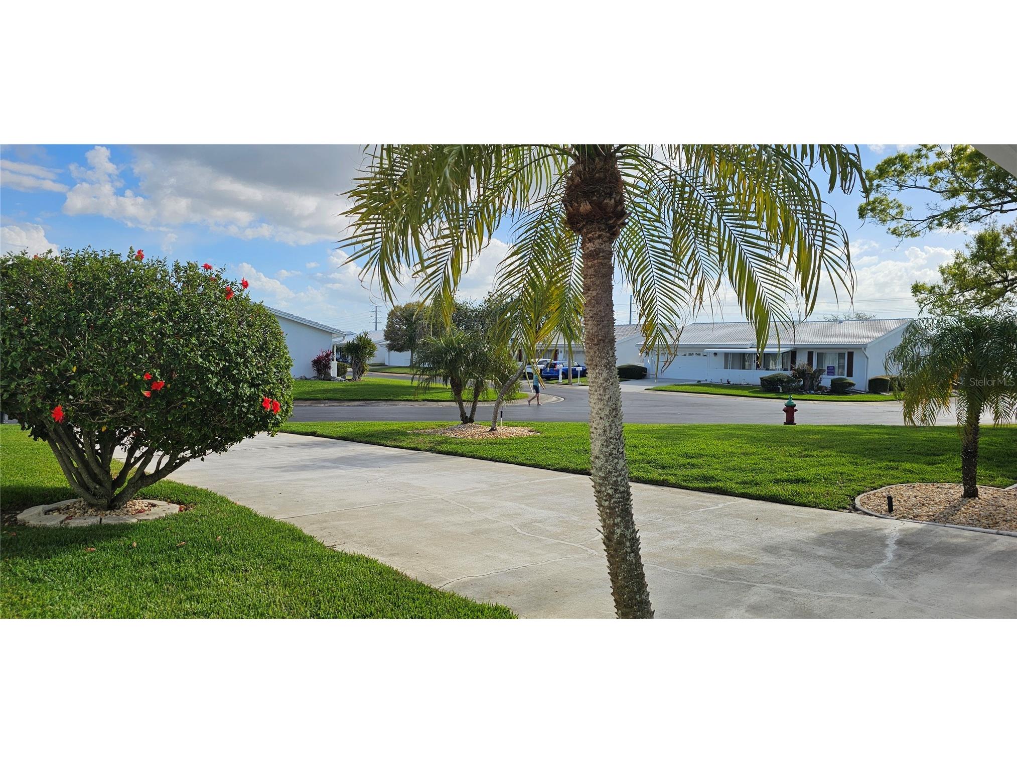 3585 93rd Avenue N Pinellas Park FL 33782 TB8486759 image5