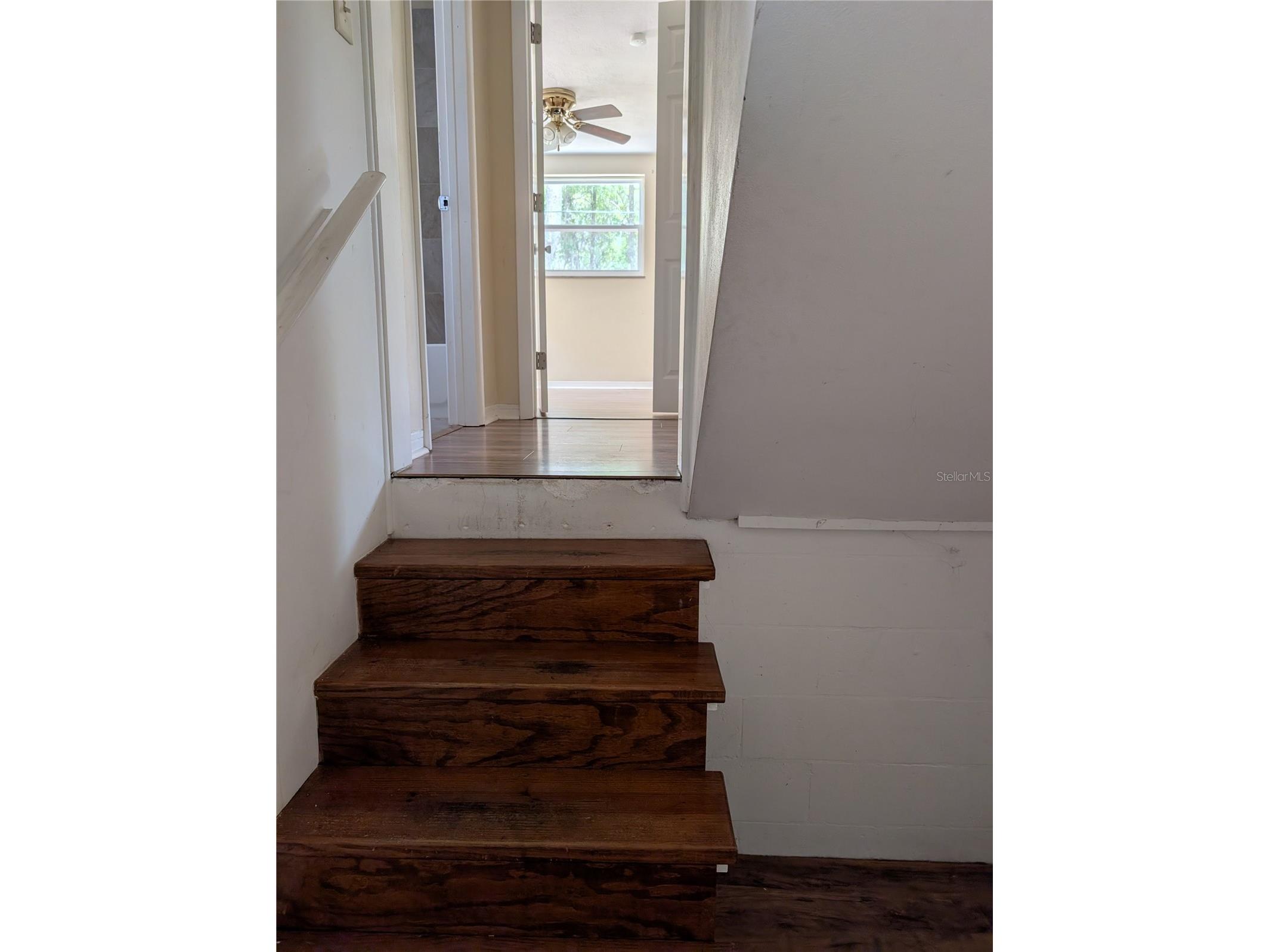 3585 W Hilltop Lane Dunnellon FL 34433 OM723034 image12
