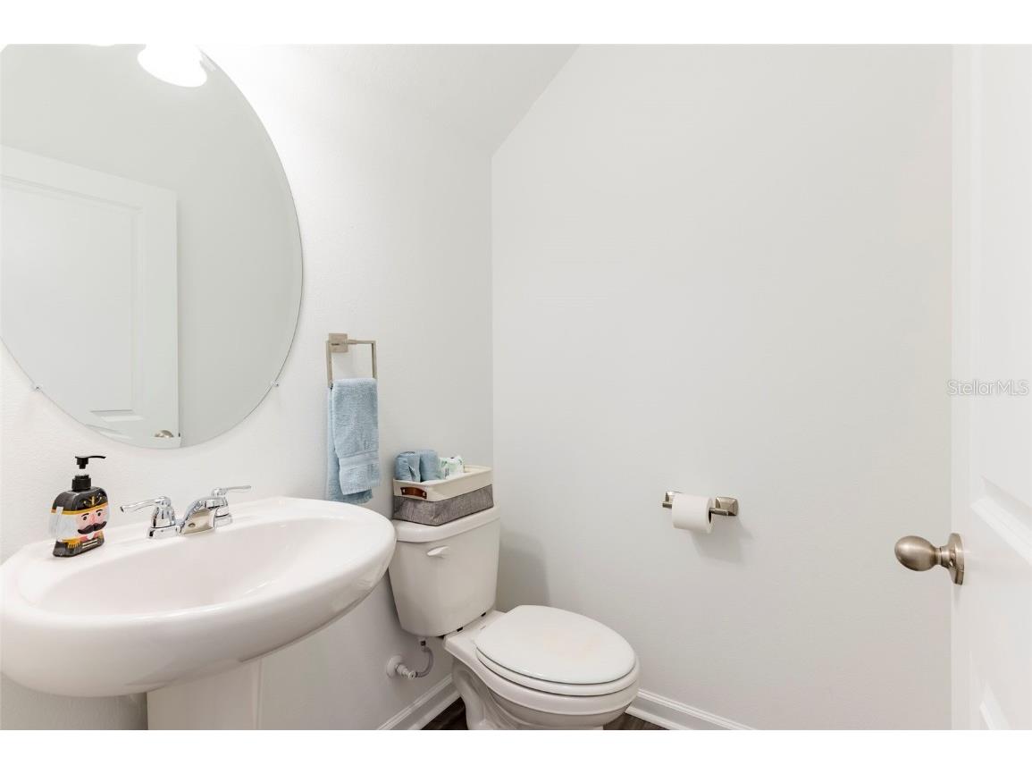 35853 Buttonweed Trail Zephyrhills FL 33541 TB8376157 image17