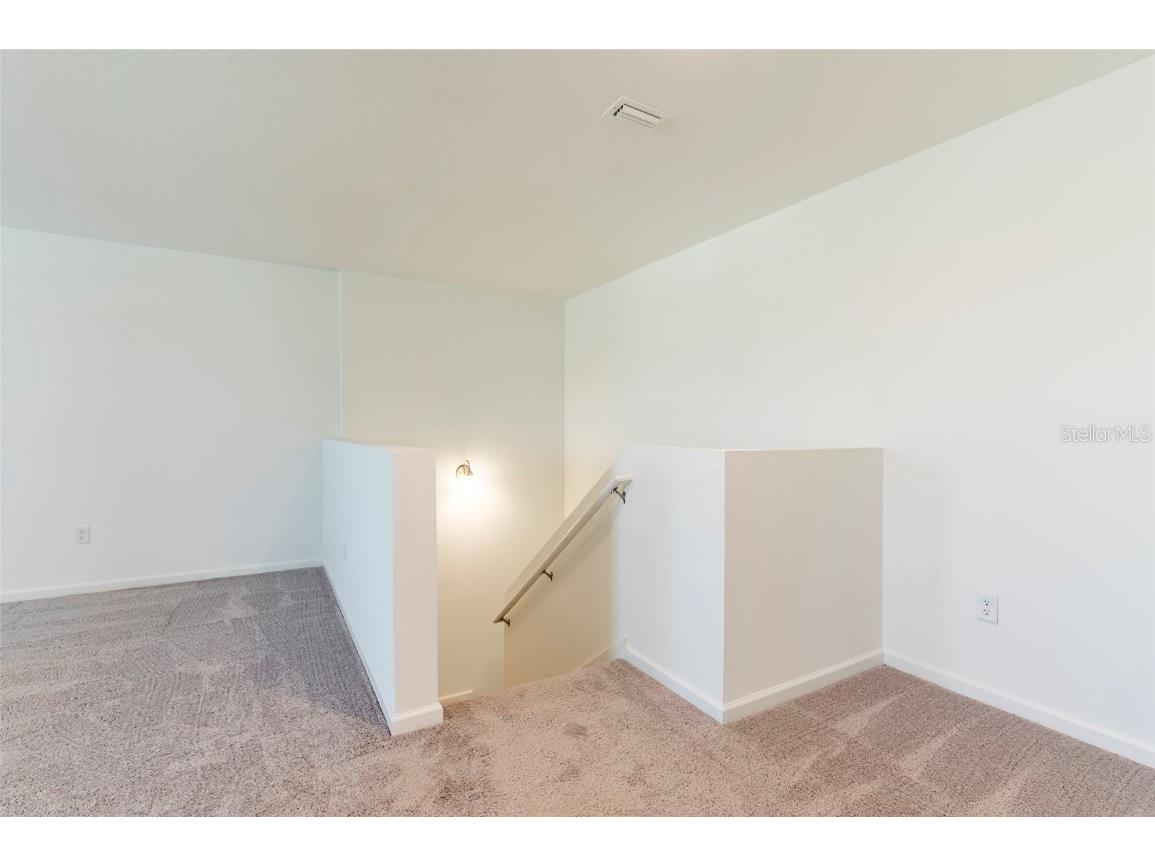 35853 Buttonweed Trail Zephyrhills FL 33541 TB8376157 image23