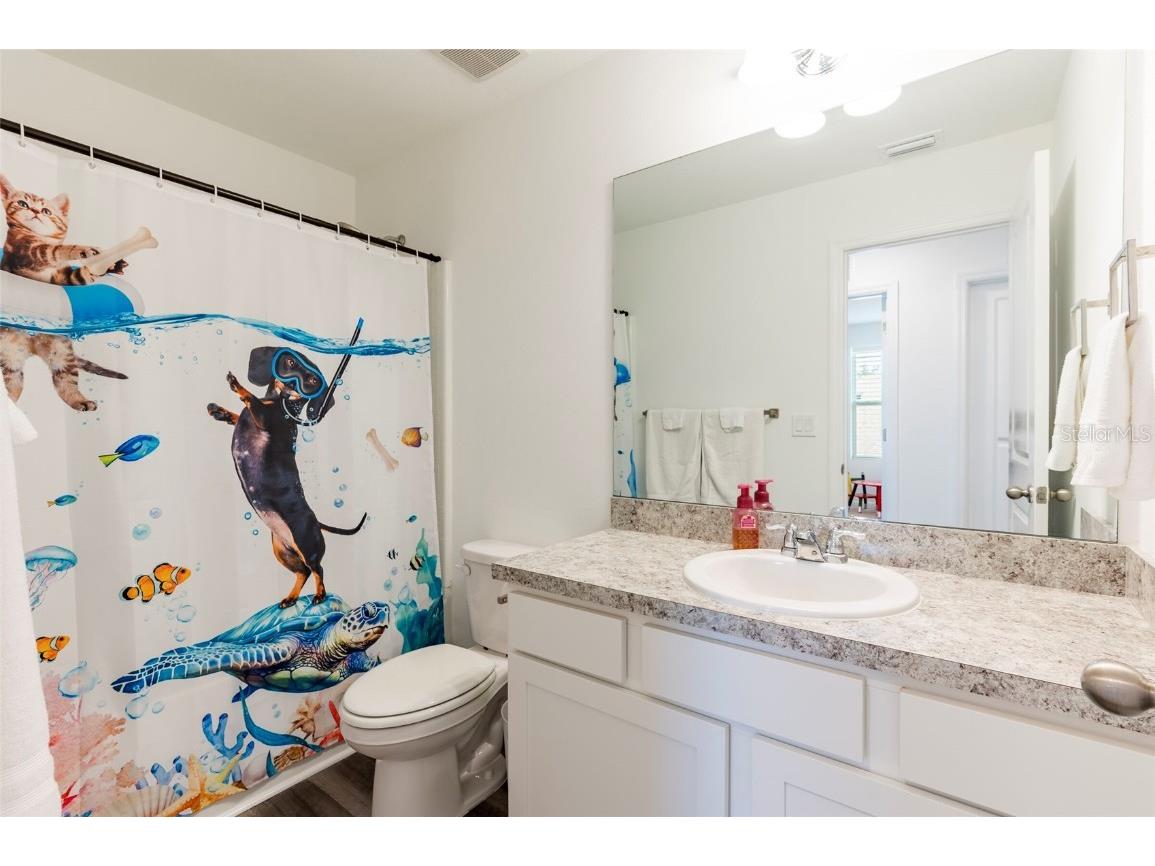 35853 Buttonweed Trail Zephyrhills FL 33541 TB8376157 image28