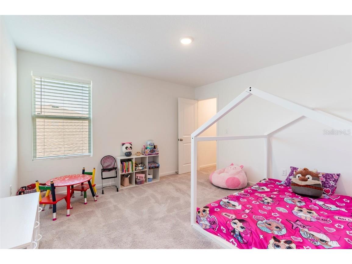 35853 Buttonweed Trail Zephyrhills FL 33541 TB8376157 image29