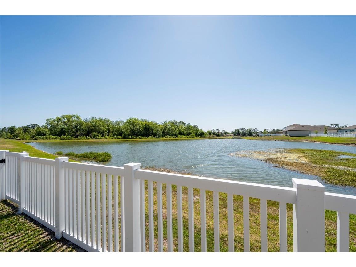 35853 Buttonweed Trail Zephyrhills FL 33541 TB8376157 image37