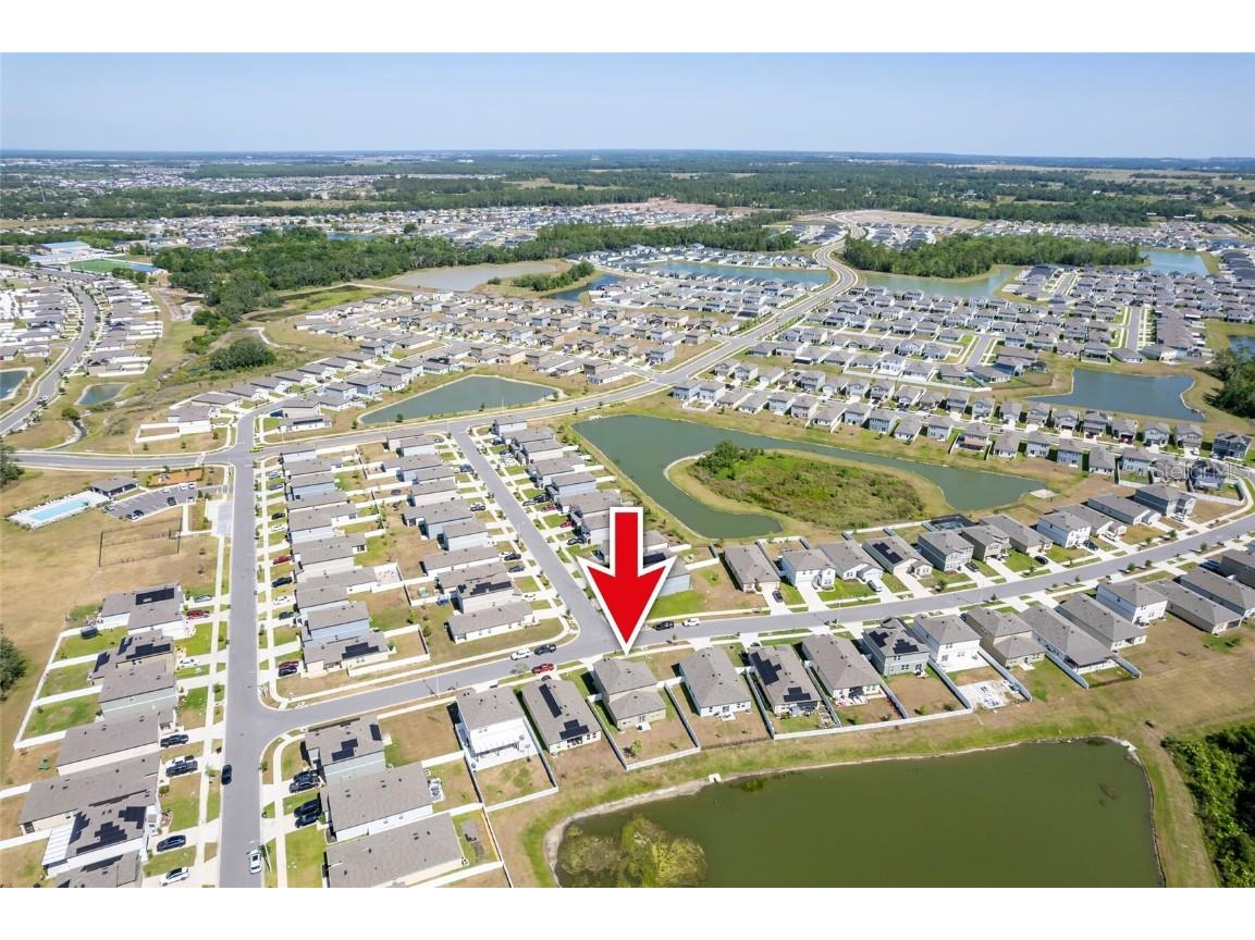 35853 Buttonweed Trail Zephyrhills FL 33541 TB8376157 image42