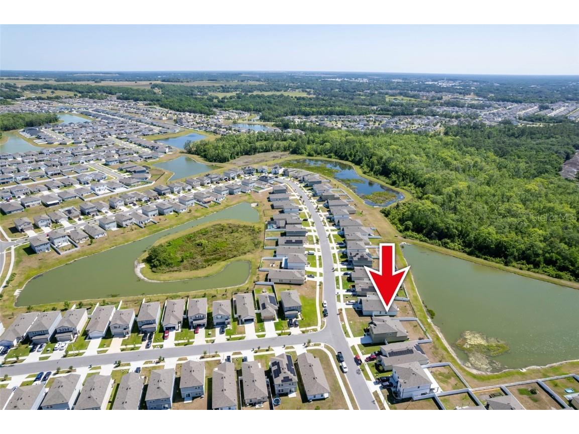 35853 Buttonweed Trail Zephyrhills FL 33541 TB8376157 image43