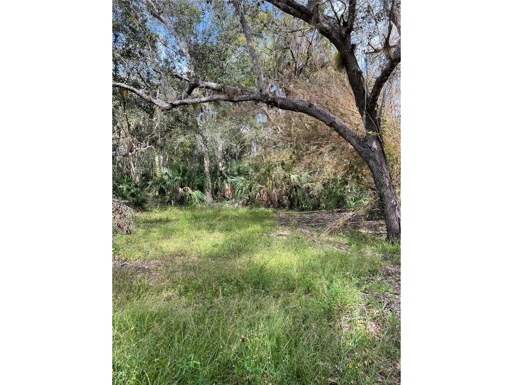 3586 SW Armadillo Trail Arcadia FL 34266 A4586718 image1