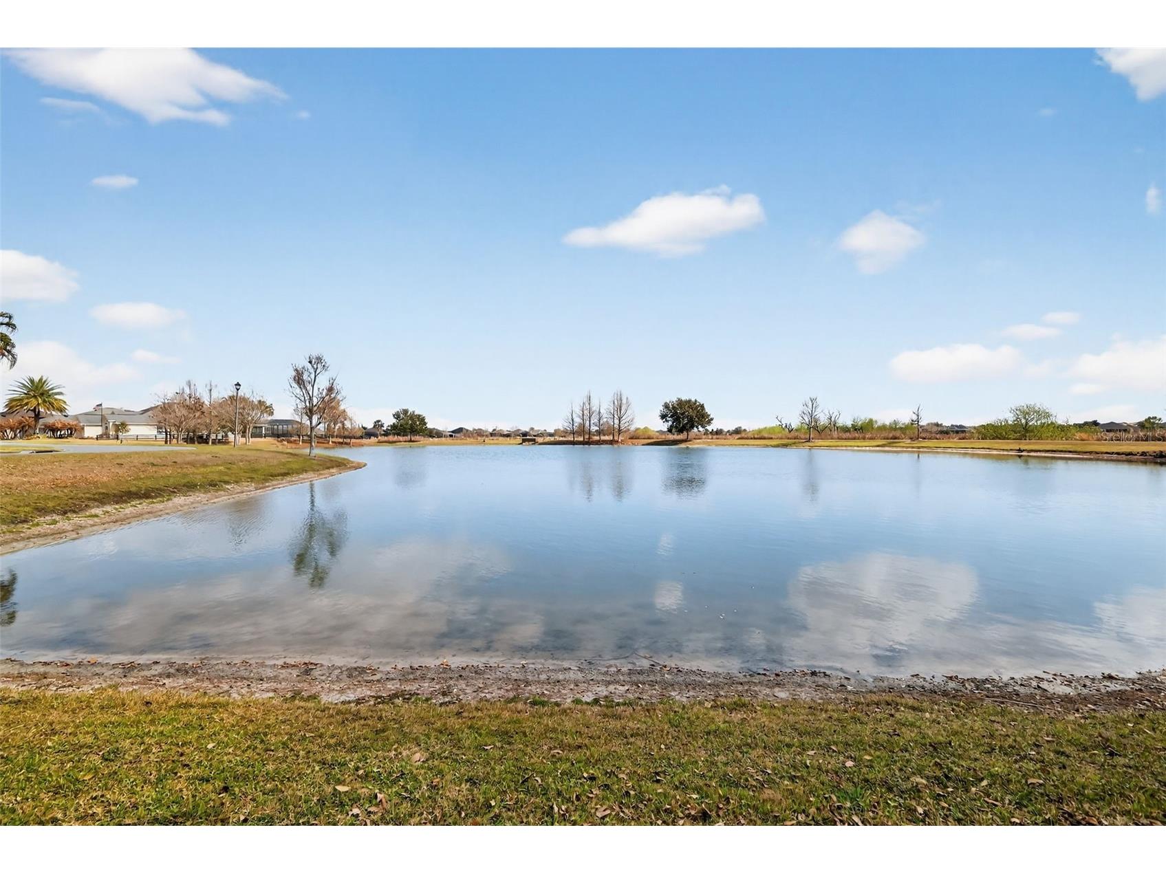 3587 Alzarine Terrace The Villages FL 32163 G5108830 image59