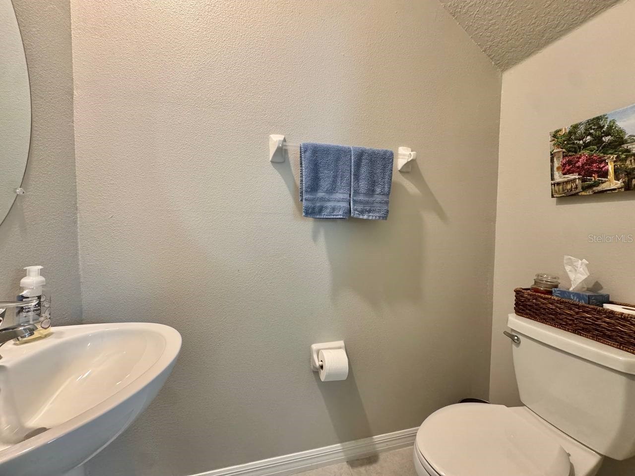 3587 Bellmeade Court #3587 Wesley Chapel FL 33543 TB8500068 image10