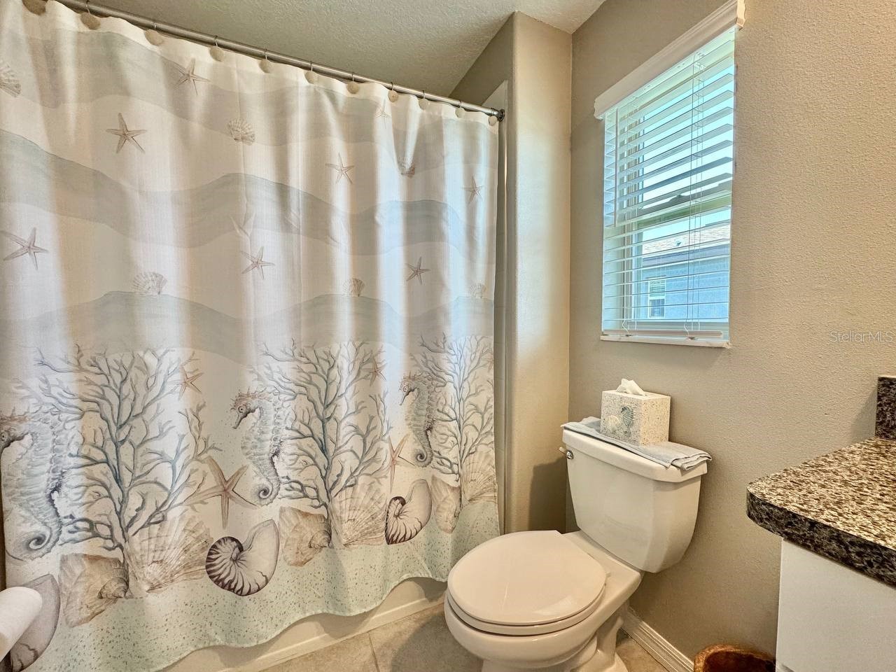 3587 Bellmeade Court #3587 Wesley Chapel FL 33543 TB8500068 image26