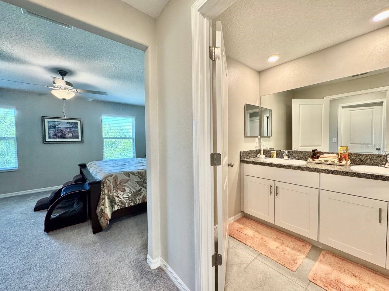 3587 Bellmeade Court #3587 Wesley Chapel FL 33543 TB8500068 image27