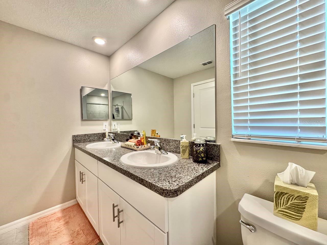 3587 Bellmeade Court #3587 Wesley Chapel FL 33543 TB8500068 image29