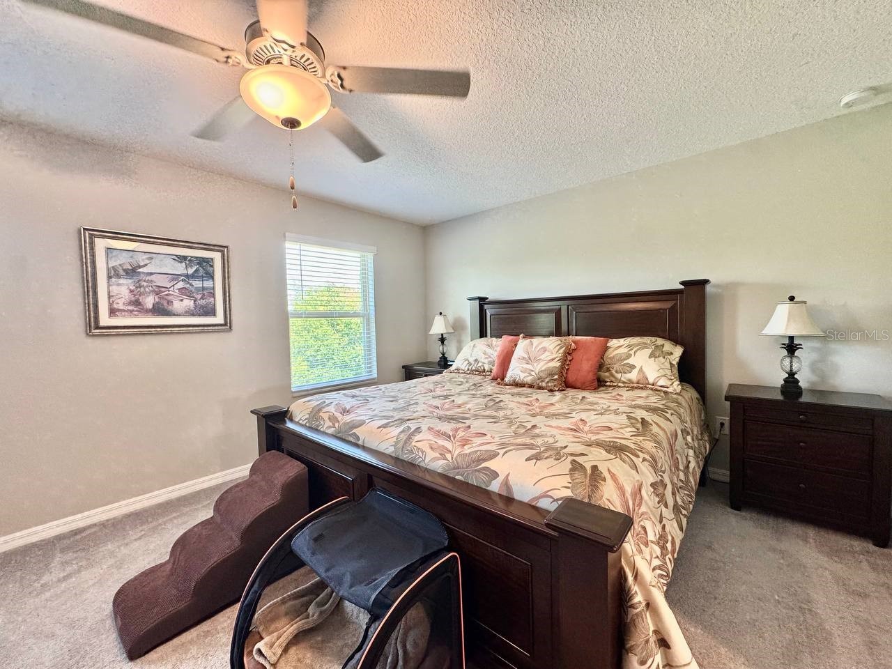 3587 Bellmeade Court #3587 Wesley Chapel FL 33543 TB8500068 image30