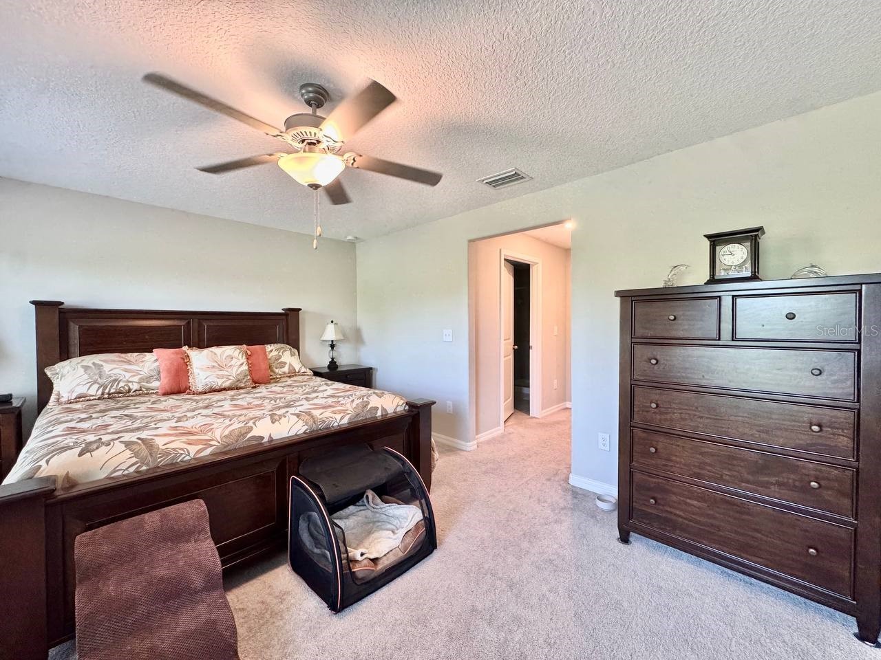 3587 Bellmeade Court #3587 Wesley Chapel FL 33543 TB8500068 image31