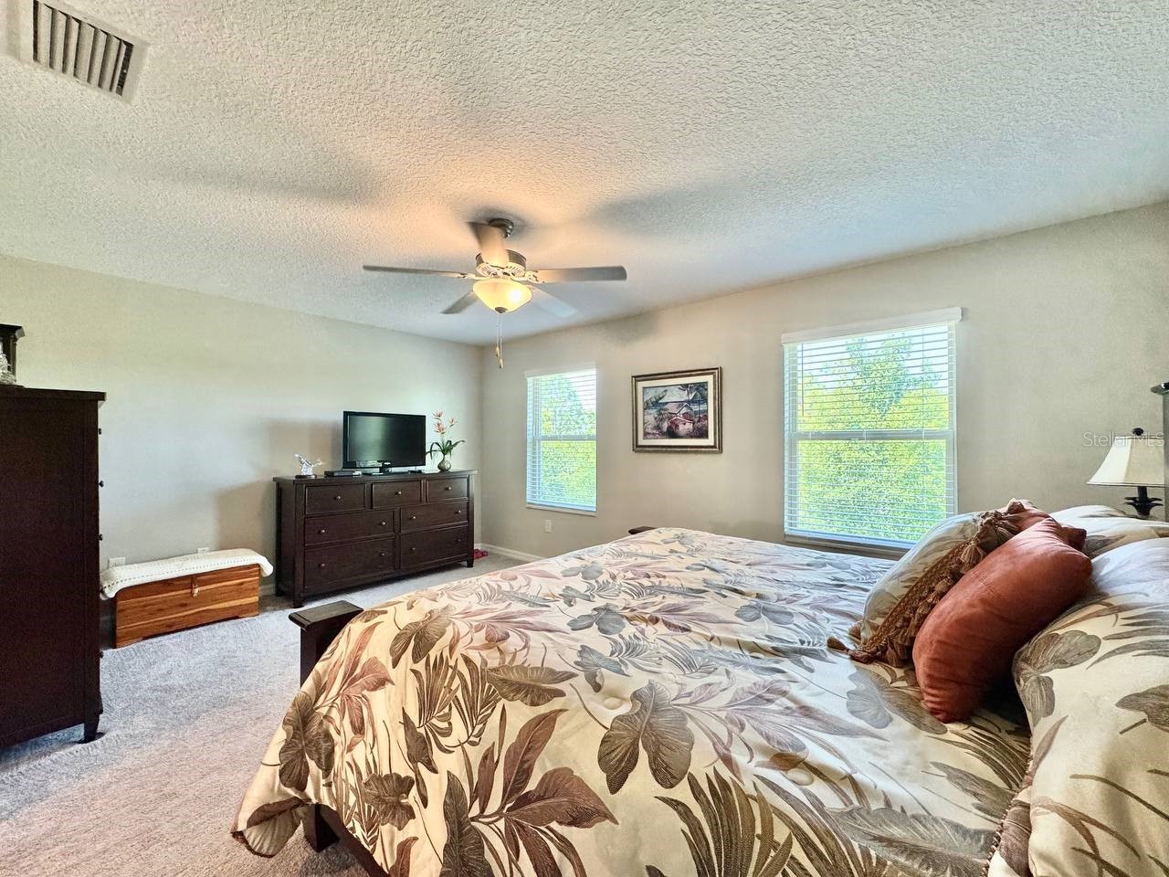 3587 Bellmeade Court #3587 Wesley Chapel FL 33543 TB8500068 image32