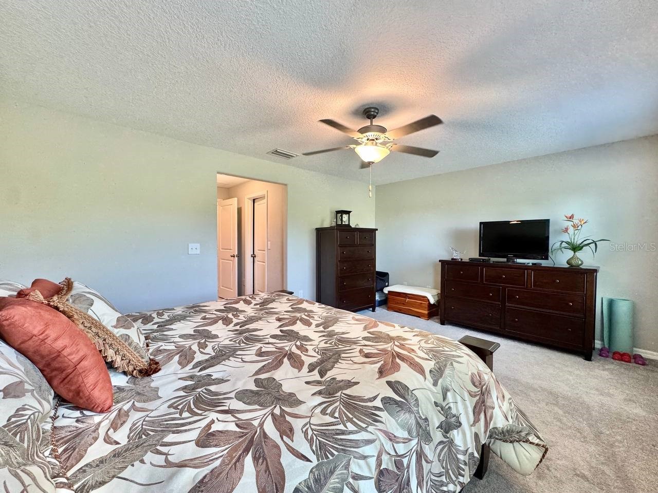 3587 Bellmeade Court #3587 Wesley Chapel FL 33543 TB8500068 image33