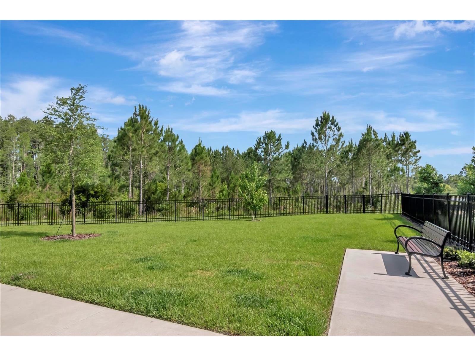 3587 Bellmeade Court #3587 Wesley Chapel FL 33543 TB8500068 image38